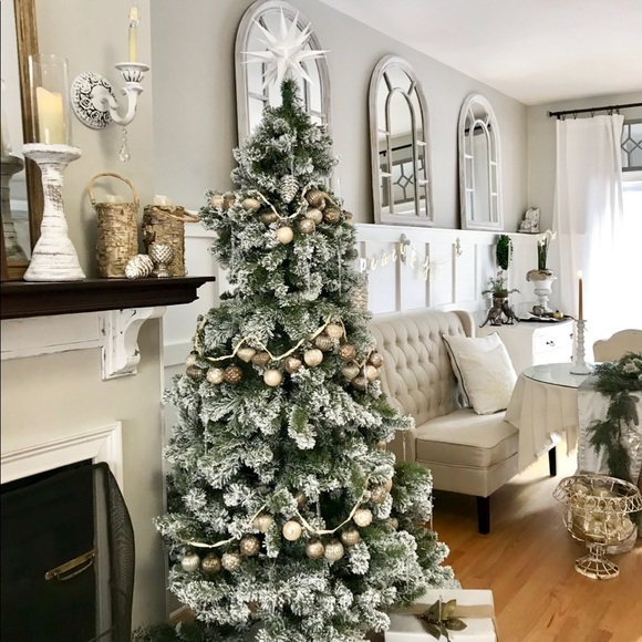 Meet your Posher, Terri - Picture 5 of 6